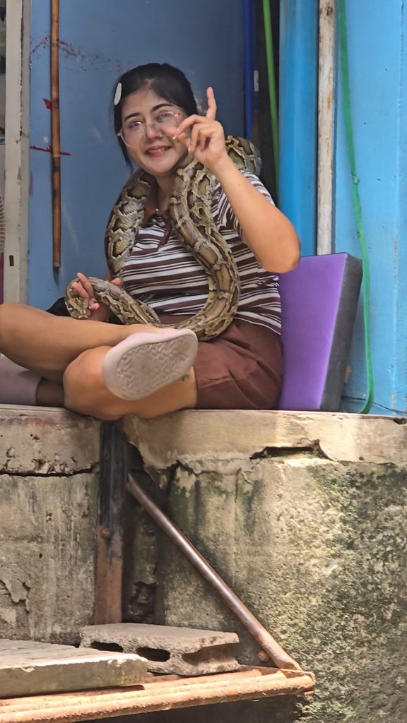 Mercado Flotante (Damnoen Saduak)