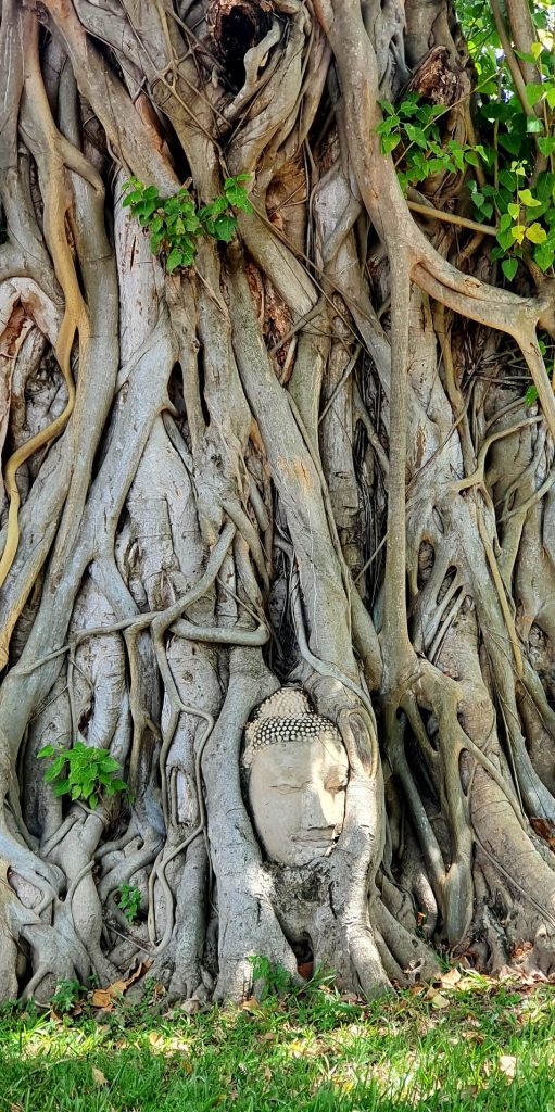 Excursión a Ayutthaya desde Bangkok