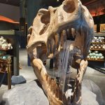 Jurassic World Bangkok